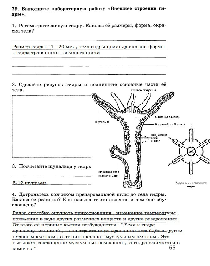 Кракен магазин krakens13 at