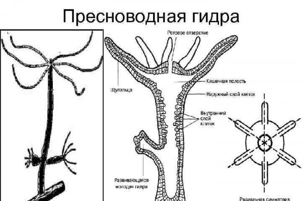 Кракен даркнет что известно